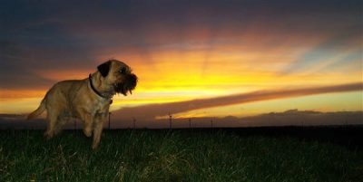 2014-02-08 Knardijk 011 bew