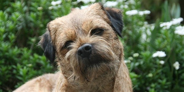 Lidia van Gaalen 2 bew