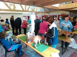 2015-5 BFD Trimmen (250 x 188)