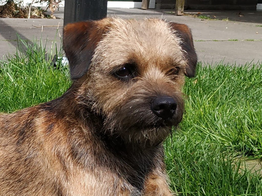 IMG_20210409_120848_2